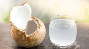 Fábrica de Agua de Coco Congelada de Vietnam, Suministro al por Mayor - Product Image 4