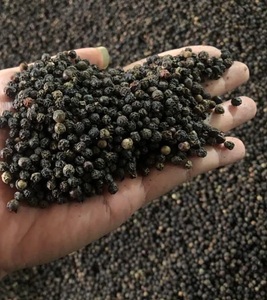 Pimienta Negra Cruda Seca AD Picante y Especiada para Uso Diario en Alimentos a Bajo Precio - Product Image 3