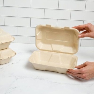 Sugarcane Bagasse Natural Disposable Food Tray 9x6 Inch Compostable <b>Lunch</b> <b>Box</b> for Salads Pasta Rice and Snack Packaging Boxes - Product Image 1