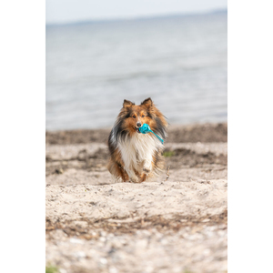 Pelota de nido de abeja con cuerda TPE 6 x 23 cm, juguete interactivo para mascotas - Product Image 4