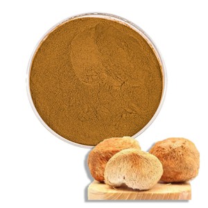 ผงเห็ดหลินจือพรีเมียม 100% บริสุทธิ์และเป็นธรรมชาติ สำหรับกาแฟ ชา สมูทตี้ และสูตรอาหารสมุนไพร - Product Image 3