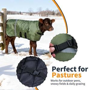 Manta acolchada para ganado, cabras y burros, superventas, cortavientos, con diseño de patas divididas y correa ajustable para el vientre, para mantener el calor. - Product Image 3