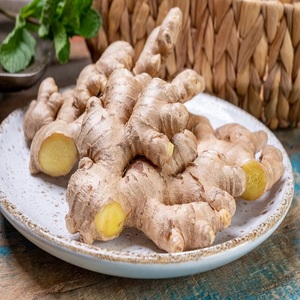 Jengibre Fresco Orgánico de Alta Calidad, Calidad Premium de Francia, Suministro al por Mayor, Cosecha Reciente, 100% Puro, Natural, Grado Alimenticio - Product Image 3
