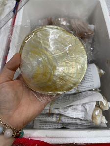 ถาดเปลือกหอยมุกธรรมชาติขัดเงา จานใส่ไข่ปลาคาเวียร์ งานฝีมือประณีต ของขวัญสุดหรู ขายส่ง - Product Image 6