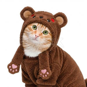 Costume d'animal mignon en laine, moderne, écologique, doux et chaud, pour les fêtes, pour petit chat, en tissu confortable, robe ludique - Product Image 2