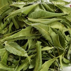 Feuilles de Neem indien Terra Bio (coupées pour le thé) les plus vendues du Tamil Nadu - Durée de conservation de 18 mois pour extrait à base de plantes et préparation de thé - Product Image 2