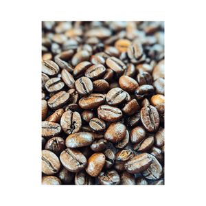 Coffee Beans low price bulk supply fresh stock wholesale - Product Image 3