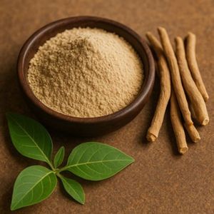Poudre de racine d'Ashwagandha ayurvédique 100% naturelle, extrait végétal de Withania Somnifera, vente en gros, Ginseng indien - Product Image 1