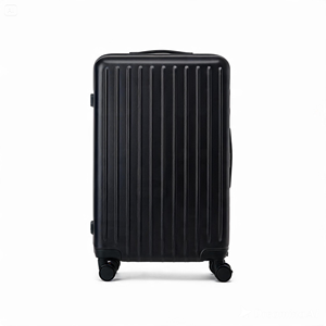 20 Inch Carry on Suitcase Lightweight ABS <b>PC</b> Spinner Luggage with TSA Lock Soft Handle for Travel Holiday - Product Image 4