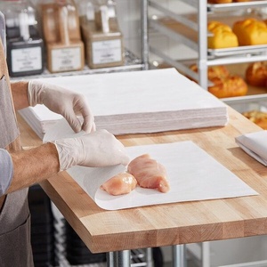 Rouleau de papier spécial congélation biodégradable EcoRev ECO-25 en PE vierge, écologique, simple face, 20g/m², pour la conservation des aliments - Product Image 3