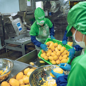 เครื่องดื่มฟาลูด้า นาวอน 290 มล. บรรจุขวด นมผสมเม็ดแมงลัก รสชาติหลากหลาย รับผลิตแบบ OEM โรงงานผลิตเครื่องดื่ม รับผลิตแบรนด์ส่วนตัว มีตัวอย่างให้ทดลองฟรี - Product Image 4