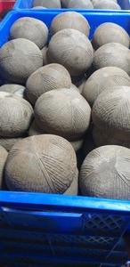 ชามเปลือกมะพร้าวธรรมชาติสำหรับสมูทตี้, อาซาอิ, ผลไม้ และสลัด ชามเสิร์ฟตกแต่งพร้อมหวายจากโรงงานเวียดนาม - Product Image 4