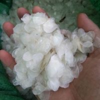 เกล็ดปลาทิลาเปียแห้งคุณภาพเยี่ยม ปี 2026 ขายส่ง ราคาแข่งขัน คุณภาพเกรดพรีเมียม บริสุทธิ์ 100% ตามมาตรฐานตลาด - Product Image 4