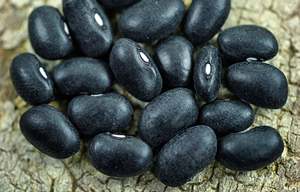 Precio de Fábrica, Alta Calidad, Fabricante Austriaco, Nuevo Producto, Frijol Negro Orgánico - Frijol Rojo para Exportación, Frijol Rojo Barato - Product Image 3