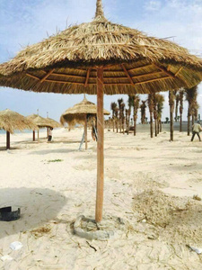 Paneles de Techo de Hoja de Palma Natural para Resorts, Bares de Playa, Villas Tropicales y Proyectos al Aire Libre en Vietnam - Product Image 6