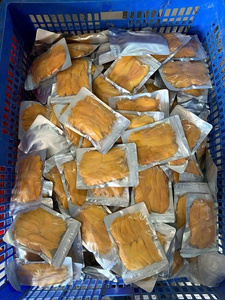 Mango Deshidratado Suave de Primera Calidad con Sabor Original de Vietnam, Snack de Fruta Tropical, Proveedor y Fabricante Mayorista Global - Product Image 5