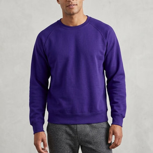 Sweat-shirt pour homme à col rond violet, 100% coton, manches raglan, coupe classique, pull décontracté, tricot uni, vêtement d'automne - Product Image 2