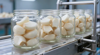 Ajos Pelados Premium en Salmuera en Frasco de Vidrio, Ajos Conservados para Exportación, Marca Privada OEM
