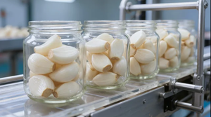 Premium Peeled Garlic Cloves in Brine Glass <b>Jar</b> Preserved Garlic for Export Private Label OEM - Product Image 4