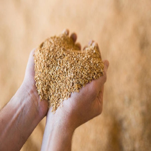 กากถั่วเหลือง GMO คุณภาพพรีเมียม วัตถุดิบอาหารสัตว์ ขายส่งจำนวนมาก พร้อมจัดส่งทั่วโลก - Product Image 2