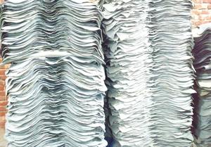 Cuir de vachette pleine fleur Wet Blue de qualité export, tanné au chrome, pour la production industrielle de cuir - Product Image 4