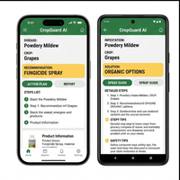Aplicación RoyalCraft Enterprise para la Detección de Enfermedades en Cultivos, Salud Vegetal y Agricultura para IOS/Android/Linux/Mac (Stock)