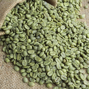 Healthy Organic Arabica Green <b>Coffee</b> <b>Bean</b> Vietnam Origin Non-GMO Gluten-Free Whole Grain Nutritious Food Bulk Supply Factory - Product Image 3