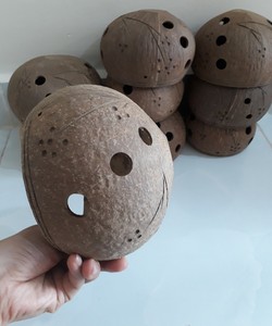 BEST SELLING BLUE LOTUS Natural Coconut Shell Pot | Eco-Friendly Hanging Farmhouse Style Planter for Raised Bed & Garden Decor - Product Image 2