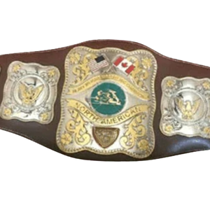 Cinturón de Campeonato de Lucha Libre Norteamericana, Trofeo Personalizado de Alta Calidad para Coleccionistas - Product Image 2