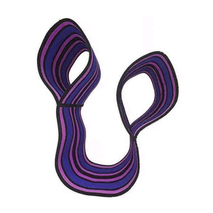 Bande de Soutien Élastique Robuste pour Entraînement de Force, Assistant de Presse à la Salle de Sport, Idéale pour la Musculation - Product Image 1