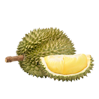 Diepvries Monthong Durian Thailand Leverancier Importeurs Thaise Durian Stukjes Premium Kwaliteit Export Klaar 100g Per Tray 2 Jaar HOUDBARE FRUIT