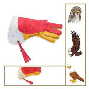 Gant de fauconnerie professionnel en cuir véritable pour homme – Gant de protection extra long et robuste pour l'entraînement des faucons et des aigles - Product Image 5