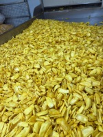 Premium Vacuüm Gefrituurde Jackfruit Chips Knapperige Tropische Fruitsnack