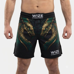 2026 Top Trending MMA Boxing Short For Men Adult Size Comfortable Soft Quick Dry Fabric Custom Spandex Polyester MMA Shorts - Product Image 1