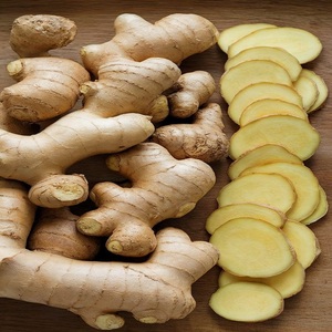 Nouvelle récolte de gingembre frais à vendre - Racine de gingembre de qualité supérieure du Brésil - Saveur épicée et parfumée - Exportateurs de gingembre - Product Image 1