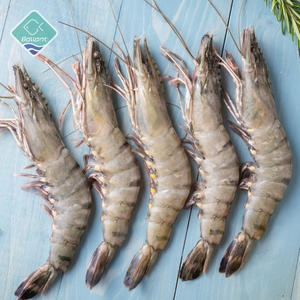 Crevettes surgelées de haute qualité provenant de fournisseurs de confiance Crevettes surgelées fraîches emballées avec soin pour une distribution rapide - Product Image 5