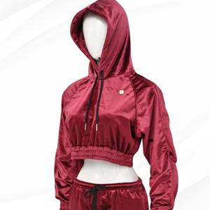 Wholesale High Quality Fashion <b>Velvet</b> Suit for Women Crop Hoodies Jogger Set <b>Velvet</b> <b>Tracksuit</b> Soft Custom <b>Velvet</b> Set - Product Image 3