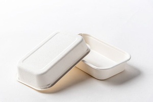 Boîte alimentaire en bagasse moulée de qualité supérieure 750 ml – Emballage durable à emporter – Contenant rectangulaire non blanchi – Boîtes alimentaires 2026 - Product Image 1