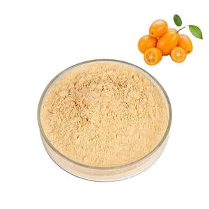Pure Kumquat Extract <b>Powder</b> No Fillers Best Flavor for Food and <b>Drink</b> Applications Bulk Supply - Product Image 5