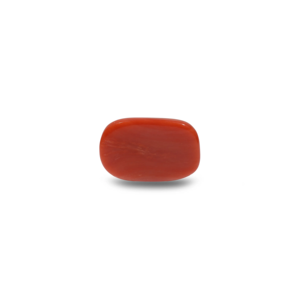 Natural Red Coral Oval Cabochon Loose Gemstone 14.7 Carat Certified Wholesale - Product Image 2