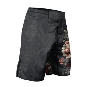 Shorts MMA sur mesure OEM unisexe pour entraînement d'arts martiaux, en polyester sublimé extensible dans les quatre sens, vente en gros d'usine OEM - Product Image 2