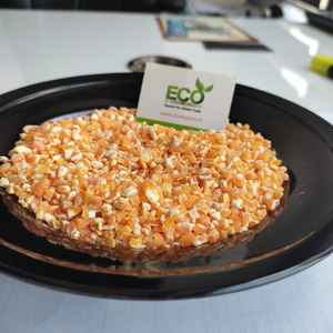 Calidad superior, suministro al por mayor, agricultura, maíz amarillo roto, grano a buen precio de la India - Product Image 5