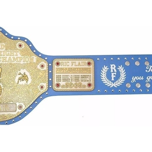Premium OEM Champion Belt Custom Wrestling Boxing MMA Championship Title Belt Leather Strap Gold <b>Metal</b> <b>Plates</b> Custom Logo - Product Image 3