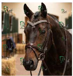 Fronture de luxe en cuir premium avec cristaux en V et diamants, accessoire de bridon pour concours, disponible dans toutes les couleurs et tailles - Product Image 1