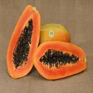 Papaya Roja Híbrida Orgánica Natural de Alta Calidad, Frutas de Papaya Dulces al por Mayor en Venta - Product Image 6