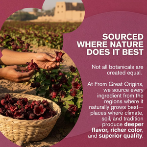 Té de Hibisco Orgánico OEM, 20 Bolsitas, Sin Cafeína, Antioxidante Natural, Apoyo para el Bienestar y la Digestión - Product Image 4