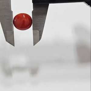 Coral Rojo Natural Mediterráneo Italiano, Forma Ovalada Plana, Producto de Alta Calidad, Gema Suelta para la Fabricación de Joyas - Product Image 4