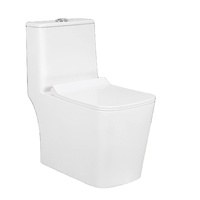 Vente d'usine toilette intelligente en céramique sans réservoir nouveau Design forme de pomme suspendu au mur 485mm L X 350mm W X 350mm H 350mm bol pour salle de bain