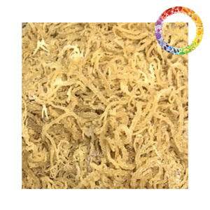Musgo Marino Seco de Vietnam, Exportación a Granel, Superalimento Vegano Saludable |   Comida saludable - Product Image 4