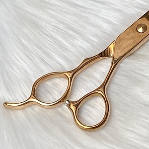 Pet World Professional Bulk Pack Juego de tijeras de acero inoxidable Herramientas de comportamiento de aseo y entrenamiento canino - Product Image 5